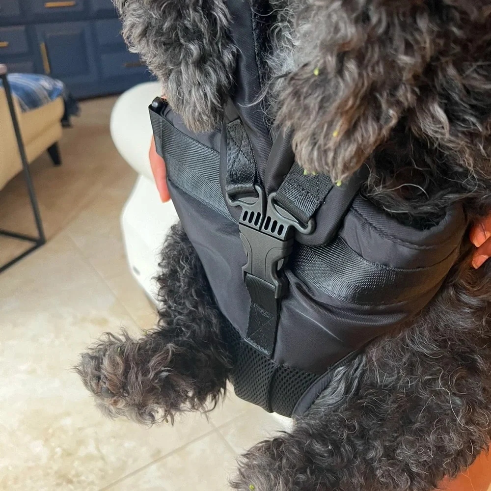 Pet carrier for medium size dogs by WindyTails